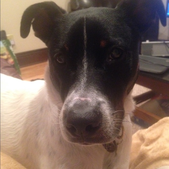 Meet your Posher, Nicole - Picture 1 of 1